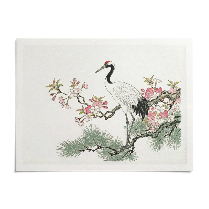 Crane Cherry Blossom Art Print, shown as an unframed paper print on a plain white background