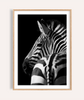 Angled zebra portrait wall art poster with bold stripes on dark background