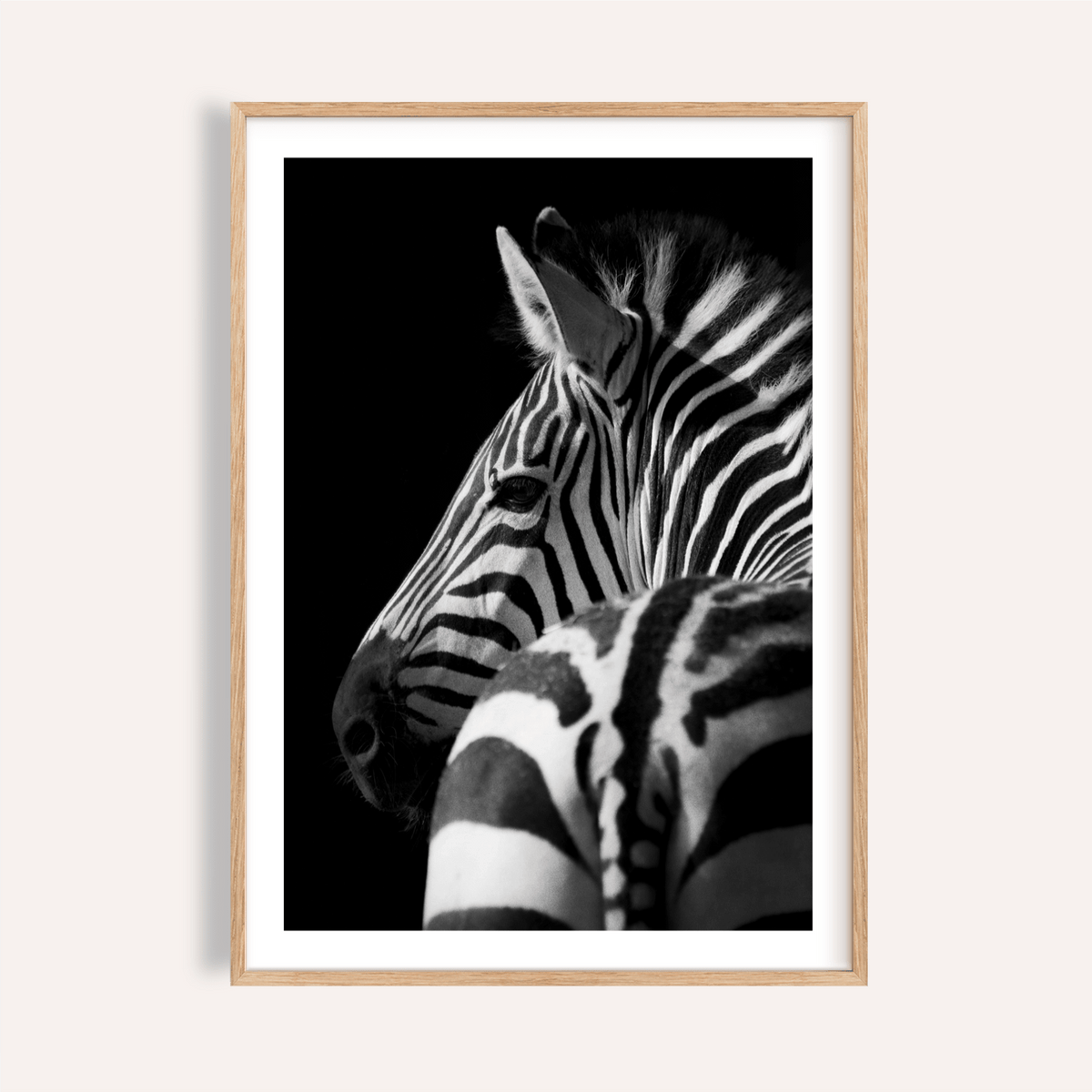 Angled zebra portrait wall art poster with bold stripes on dark background