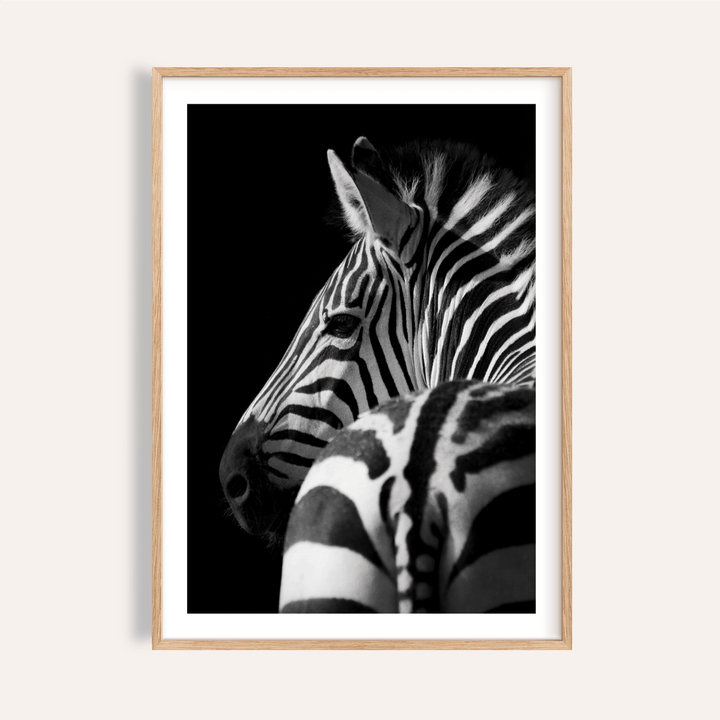 Angled zebra portrait wall art poster with bold stripes on dark background