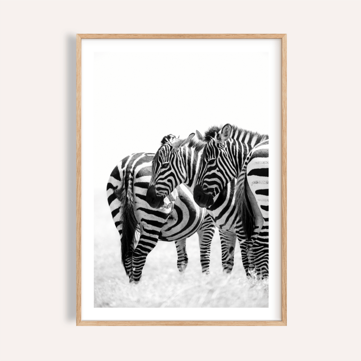 Zebra Wall Art print showing two zebras with overlapping stripes on white background