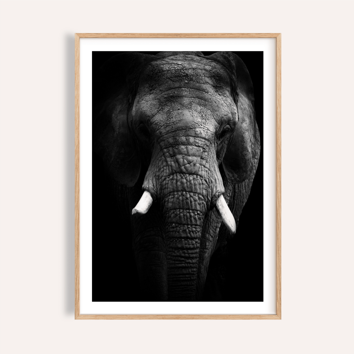 Front-facing elephant portrait poster with tusks and textured skin