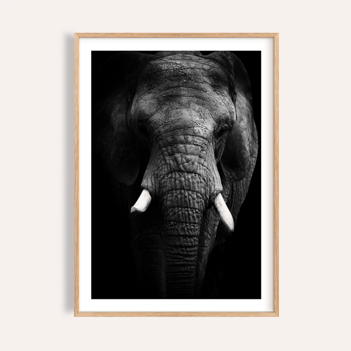 Front-facing elephant portrait poster with tusks and textured skin