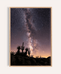 Cactus Night Print wall art with Black, Pink, Purple, and Yellow colors for living room