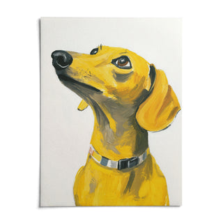 Dachshund Dog Print, shown as an unframed paper print on a plain white background