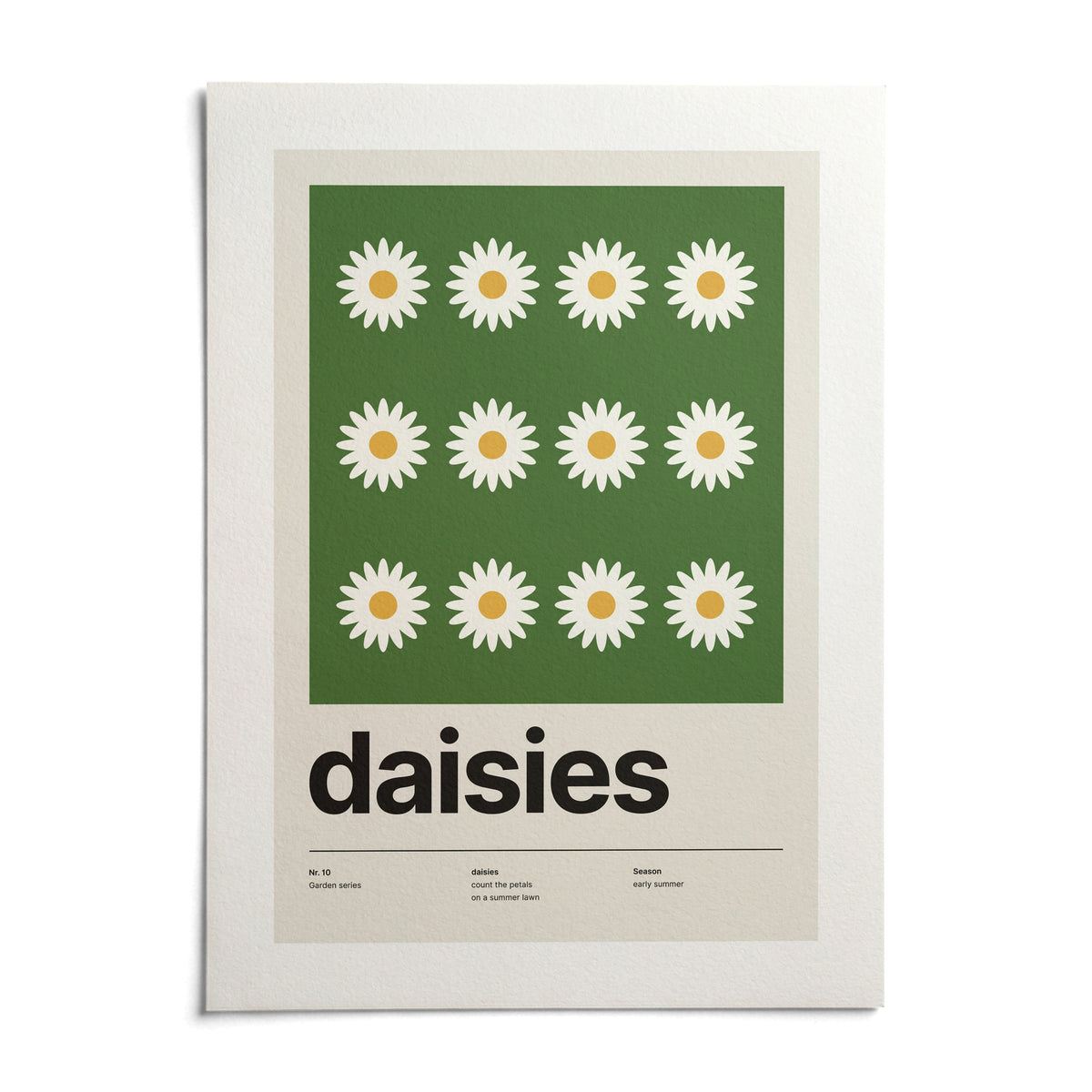 Daisy Flower Print, shown as an unframed paper print on a plain white background