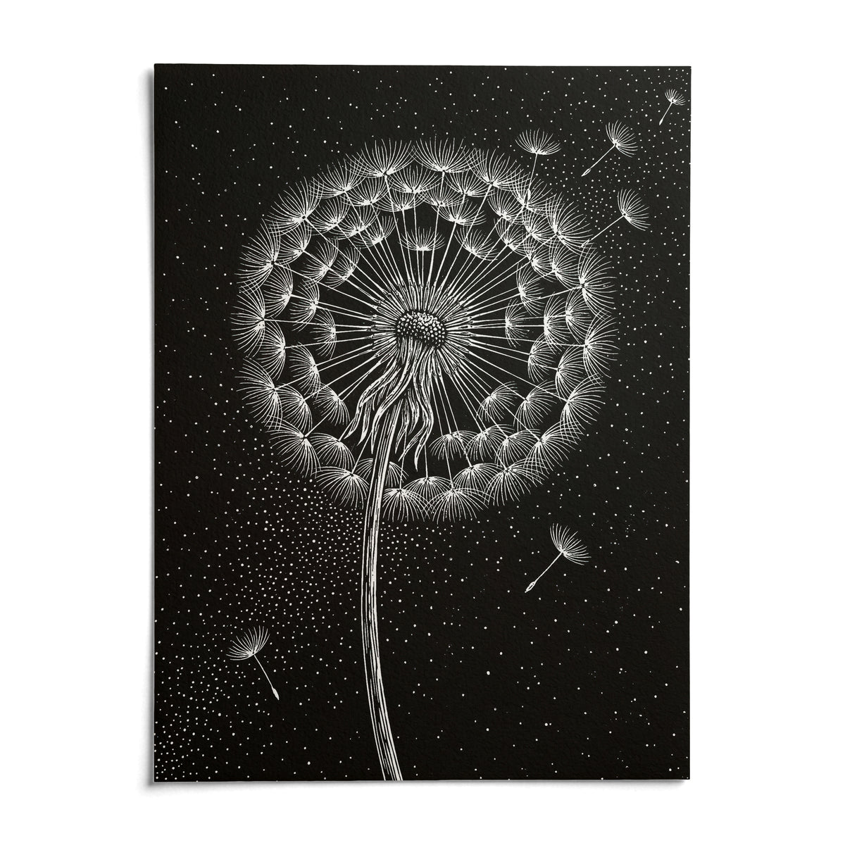 Dandelion Poster, shown as an unframed paper print on a plain white background