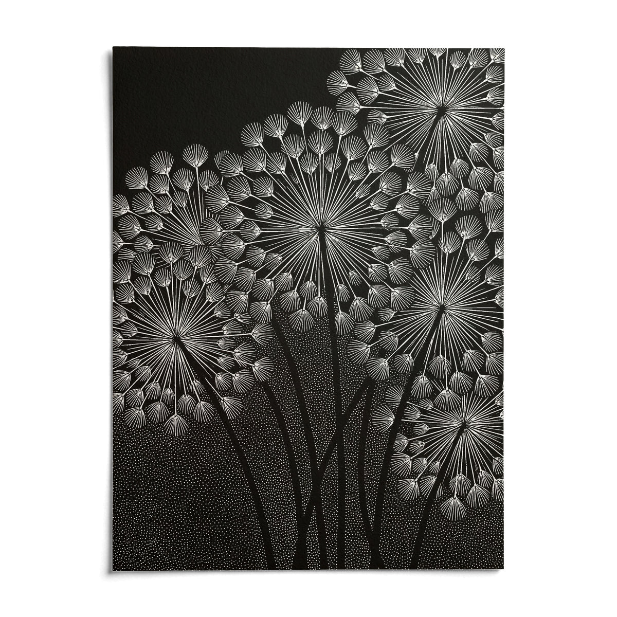 Dandelions Wall Art, shown as an unframed paper print on a plain white background