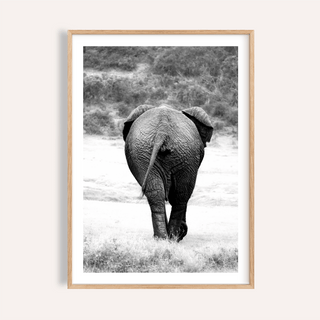 Centered elephant photography poster walking away across open ground
