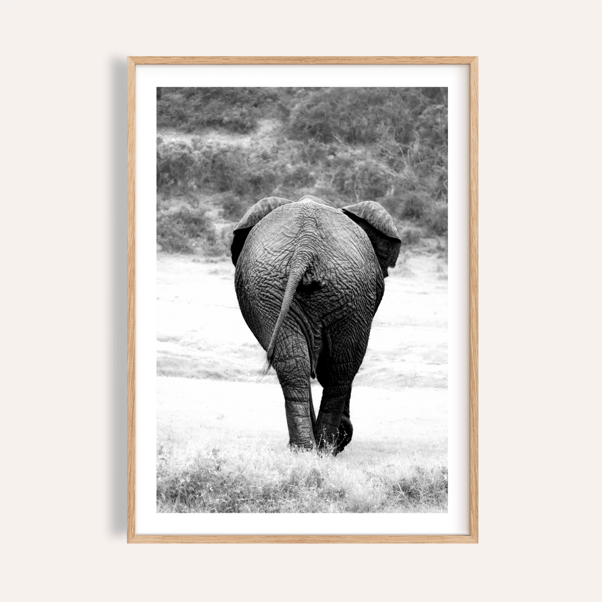 Centered elephant photography poster walking away across open ground