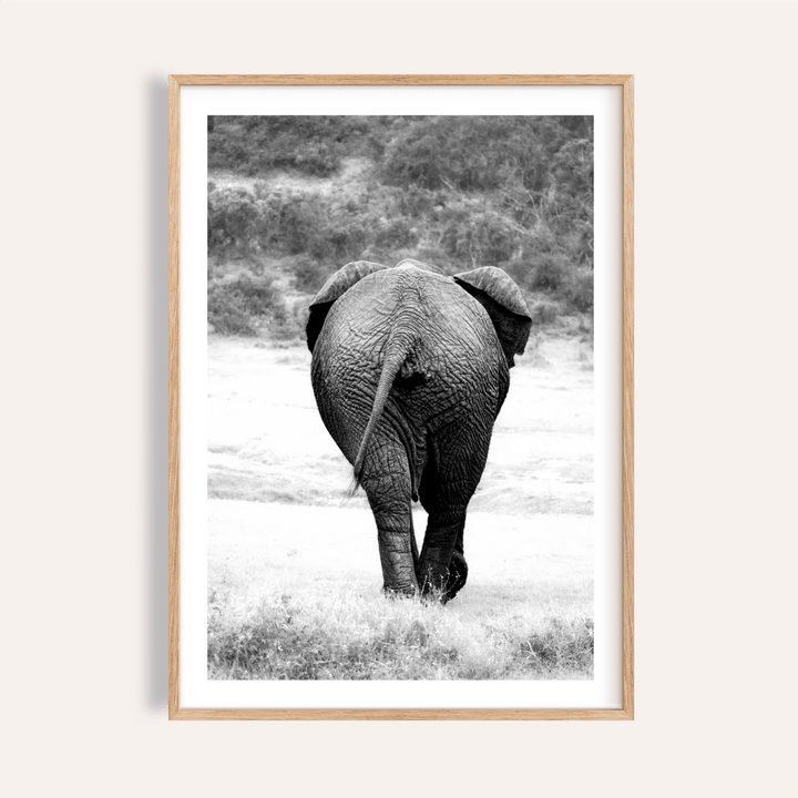 Centered elephant photography poster walking away across open ground