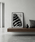 Macro zebra stripes print poster highlighting fine fur