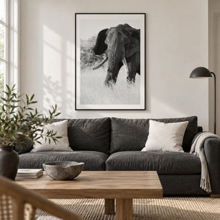 Elephant Black And White Art Print, framed on the wall of a calm contemporary living room in a UK terraced house with a soft white wall and oak floor