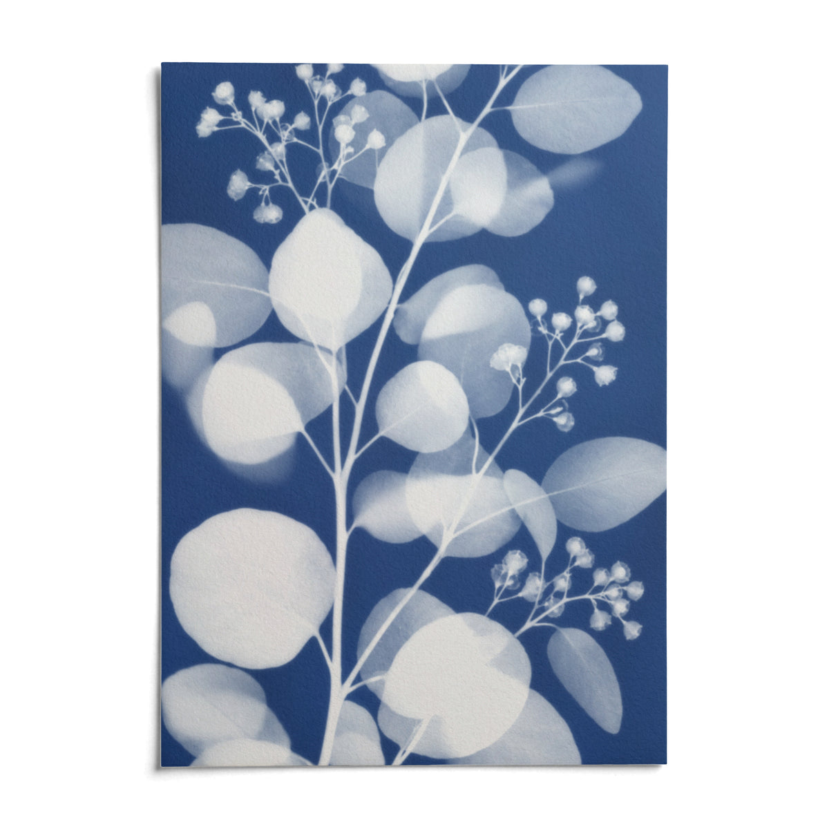 Eucalyptus Cyanotype Print, shown as an unframed paper print on a plain white background