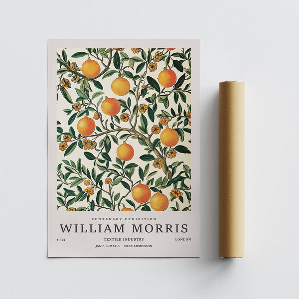 Fruit and foliage composition in large vintage posters for fresh interior accents