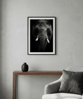 Black and White Elephant Art Print with detailed trunk texture and tusks