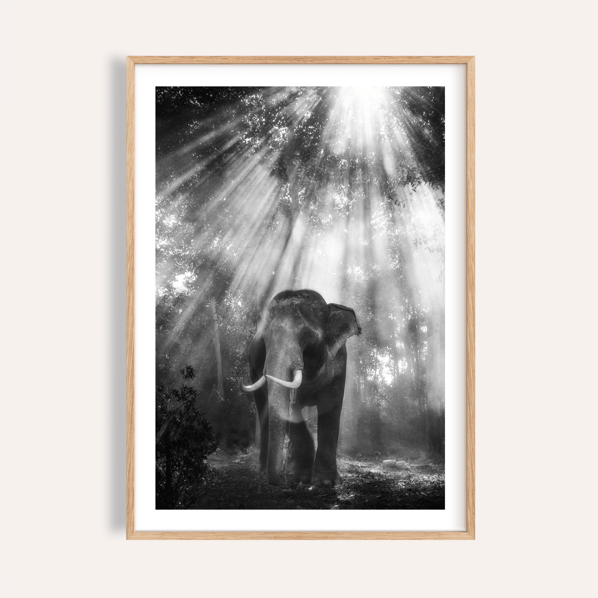 Centered elephant among forest sunbeams in monochrome poster