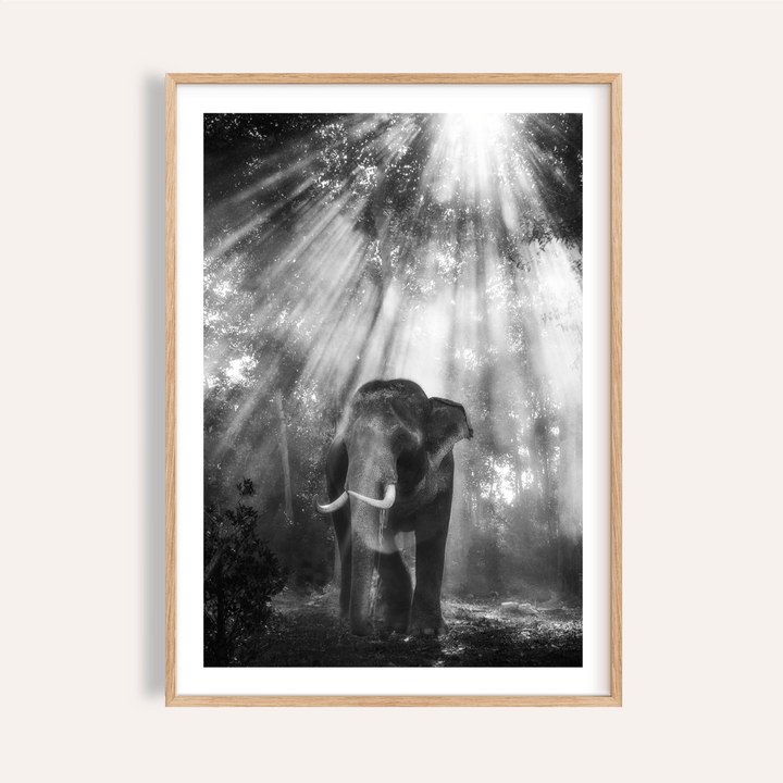 Centered elephant among forest sunbeams in monochrome poster