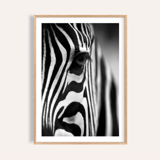 Zebra close-up wall art print with crisp monochrome stripes