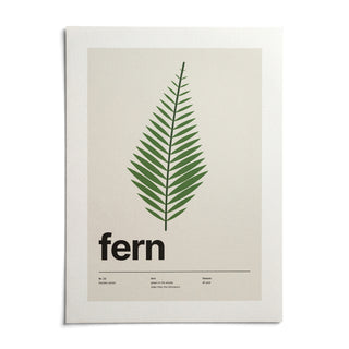 Fern Print, shown as an unframed paper print on a plain white background