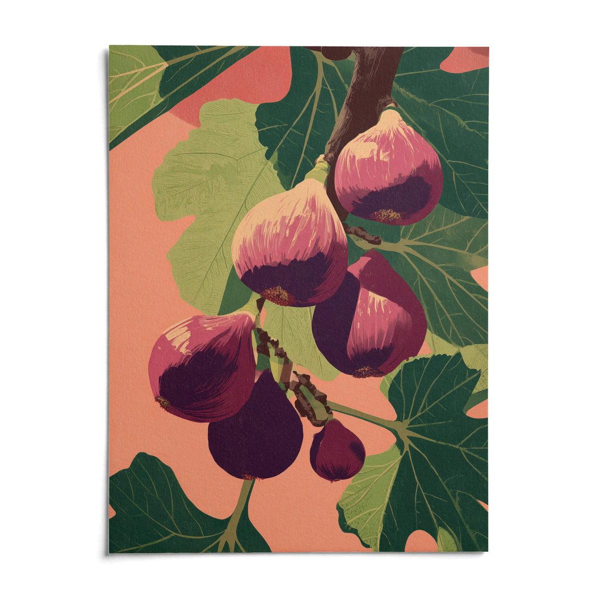 Fig Wall Art, shown as an unframed paper print on a plain white background