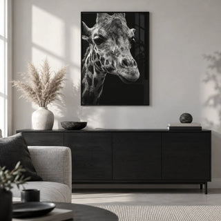 Giraffe Photography Poster, framed on the wall of a monochrome living room
