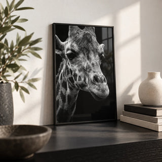 Giraffe Photography Poster, a small A4 framed print leaning on a black shelf in a living room