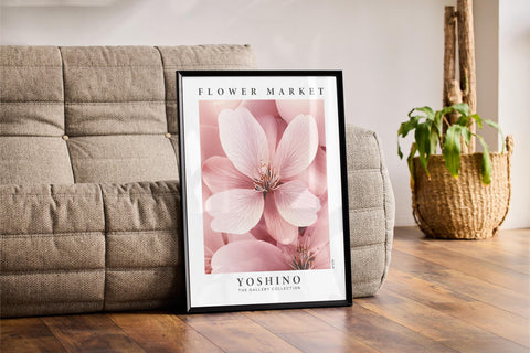 Japan - Cherry Blossom Flower Poster