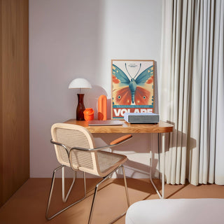 Volare butterfly wall art in warm and cool tones for vibrant interiors