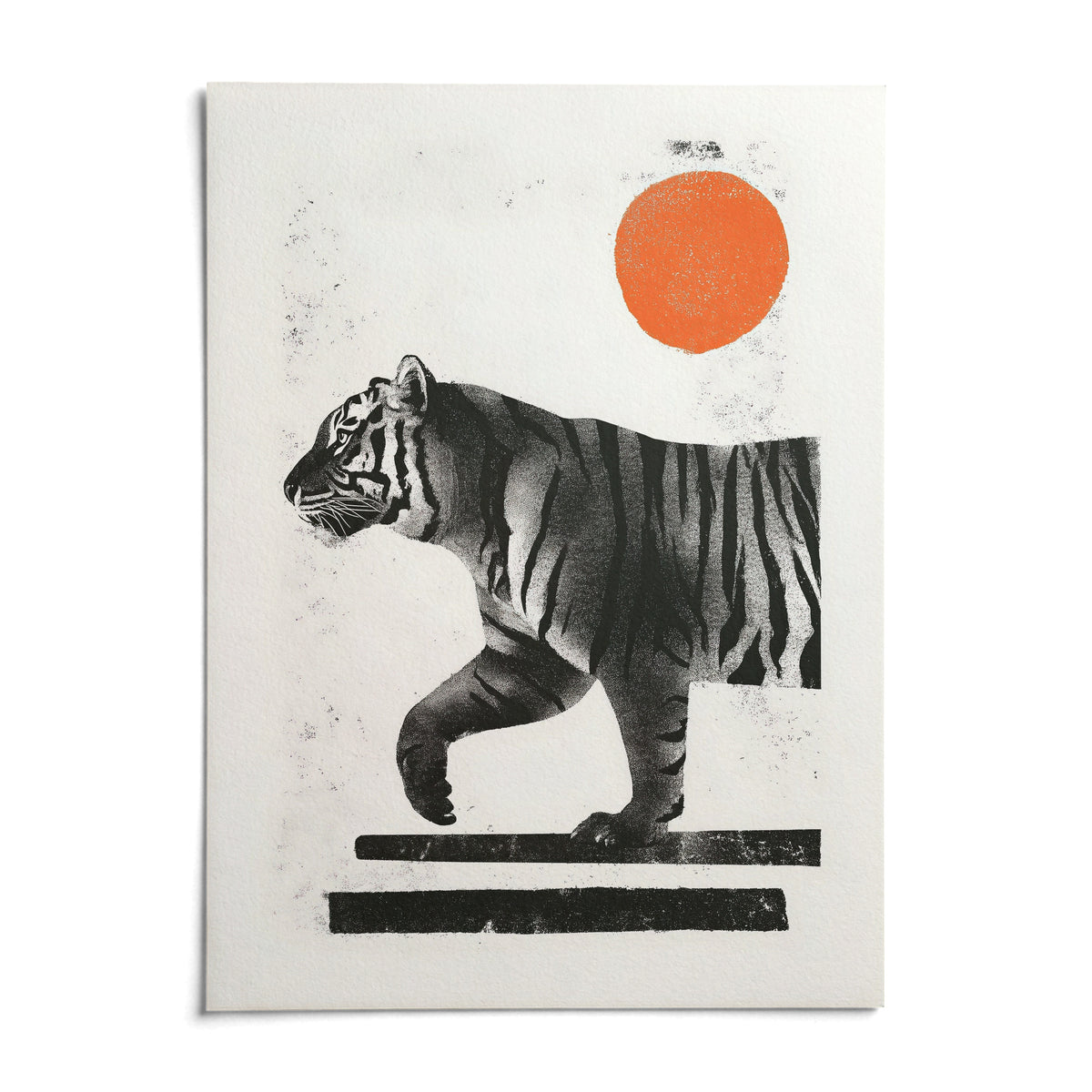 Indian Tiger Print, shown as an unframed paper print on a plain white background