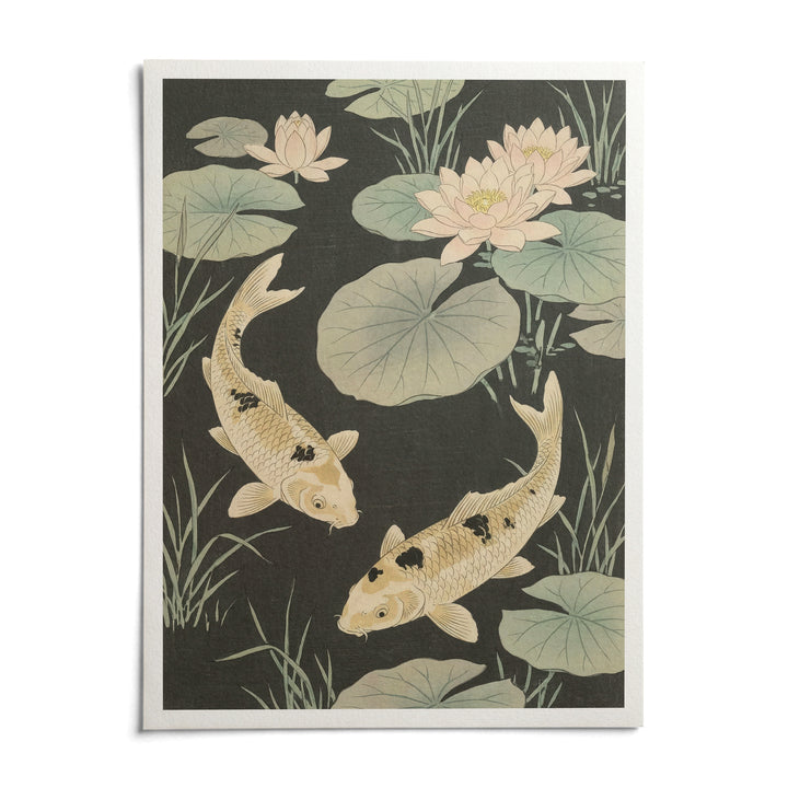 Japanese Koi Carp Art, shown as an unframed paper print on a plain white background
