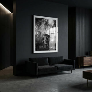 Modern living room with a dark sofa and a large framed black and white photograph on the wall.