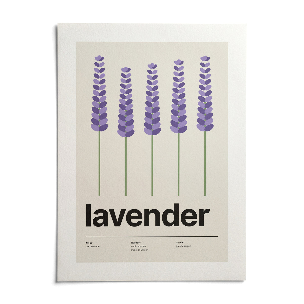 Lavender Wall Art, shown as an unframed paper print on a plain white background