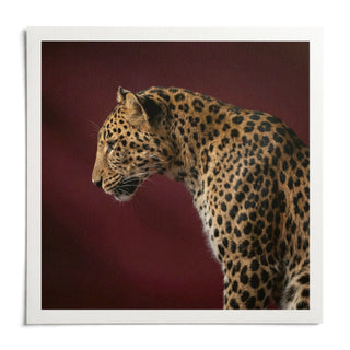 Leopard Art Print, shown as an unframed paper print on a plain white background