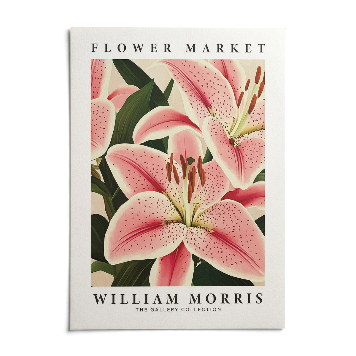 Pink Lily Art, shown as an unframed paper print on a plain white background