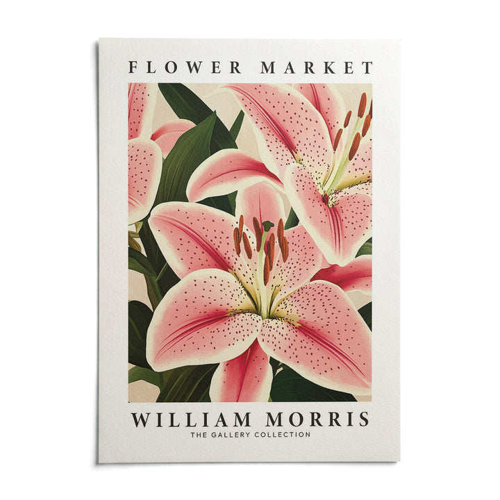 Pink Lily Art, shown as an unframed paper print on a plain white background