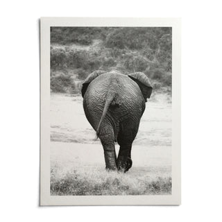 Nature Animal Wall Art, shown as an unframed paper print on a plain white background