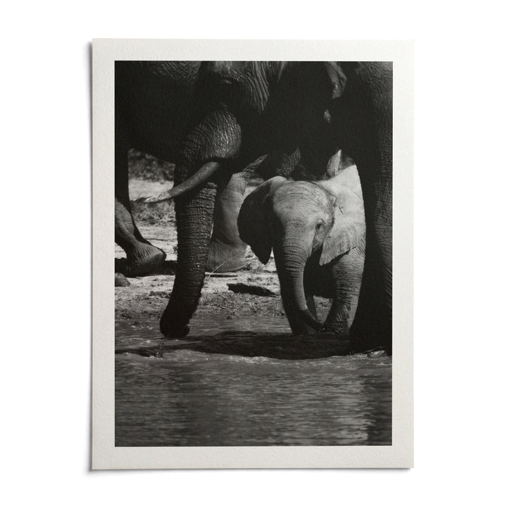 Nature Art Print, shown as an unframed paper print on a plain white background