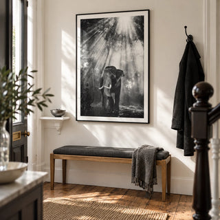Nature Photography Wall Art, framed on the wall of a bright entrance hallway in a Victorian terrace with warm white walls and original timber floorboards