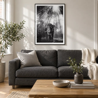 Nature Photography Wall Art, framed on the wall of a contemporary living room in a UK terraced house with a soft white wall and oak floor