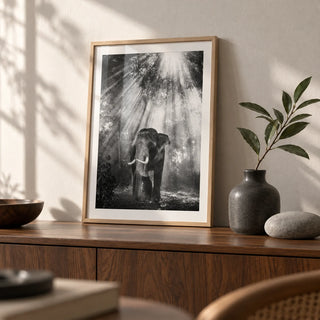 Nature Photography Wall Art, a small A4 framed print leaning on a walnut sideboard in a living room