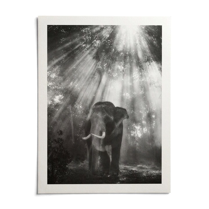 Nature Photography Wall Art, shown as an unframed paper print on a plain white background