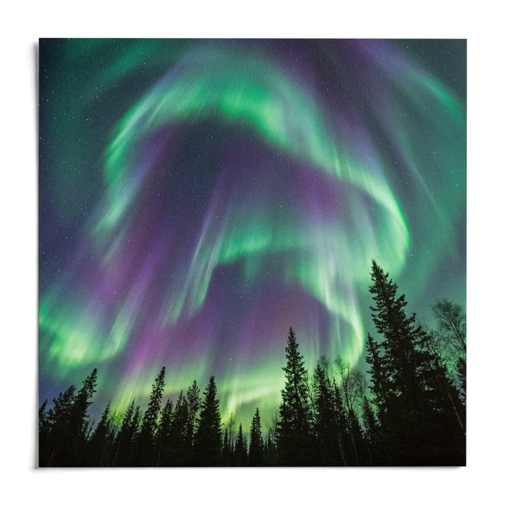 Northern Lights Art Print, shown as an unframed paper print on a plain white background