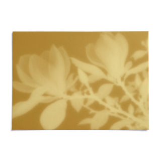 Ochre Magnolia Print, shown as an unframed paper print on a plain white background
