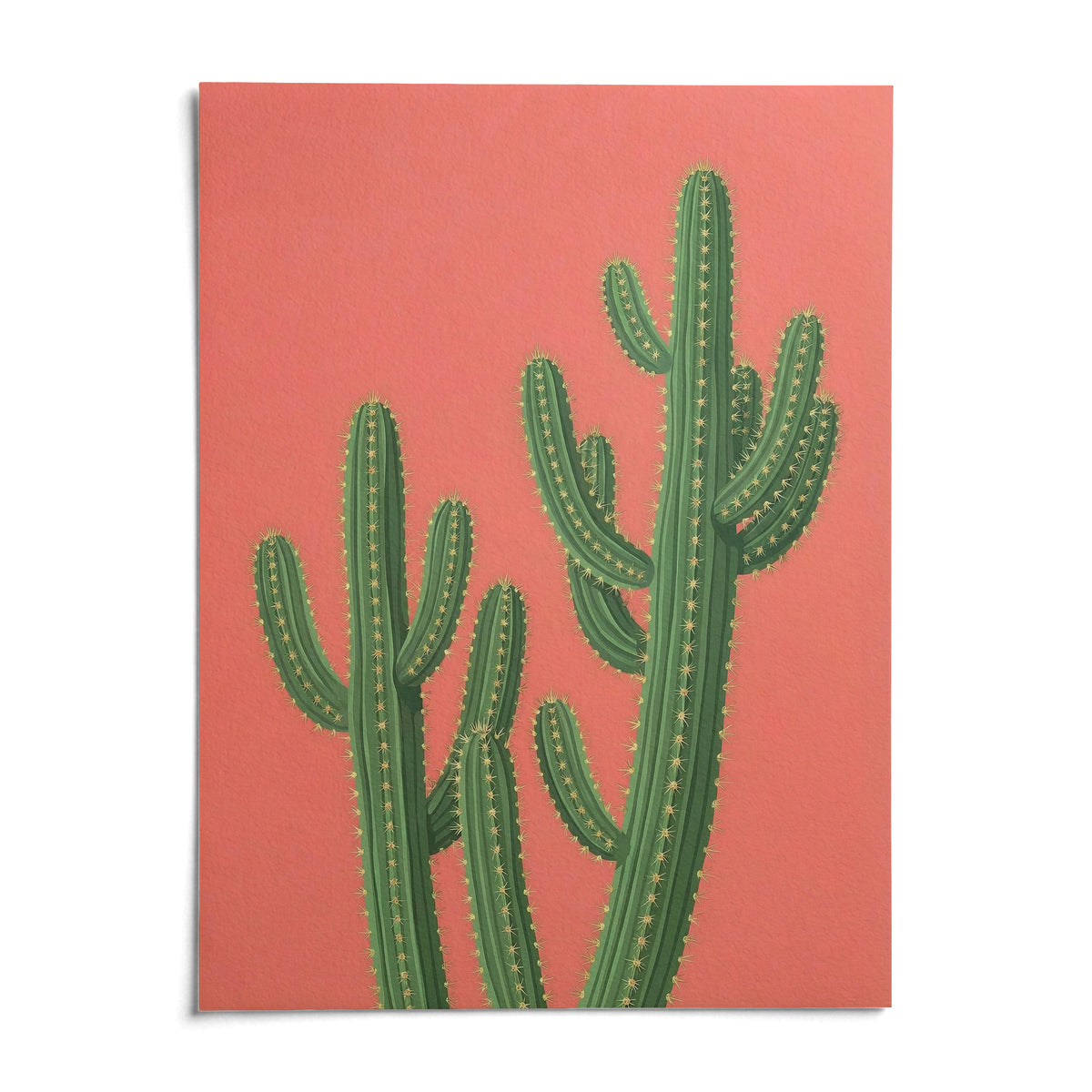 Pink Cactus Painting, shown as an unframed paper print on a plain white background