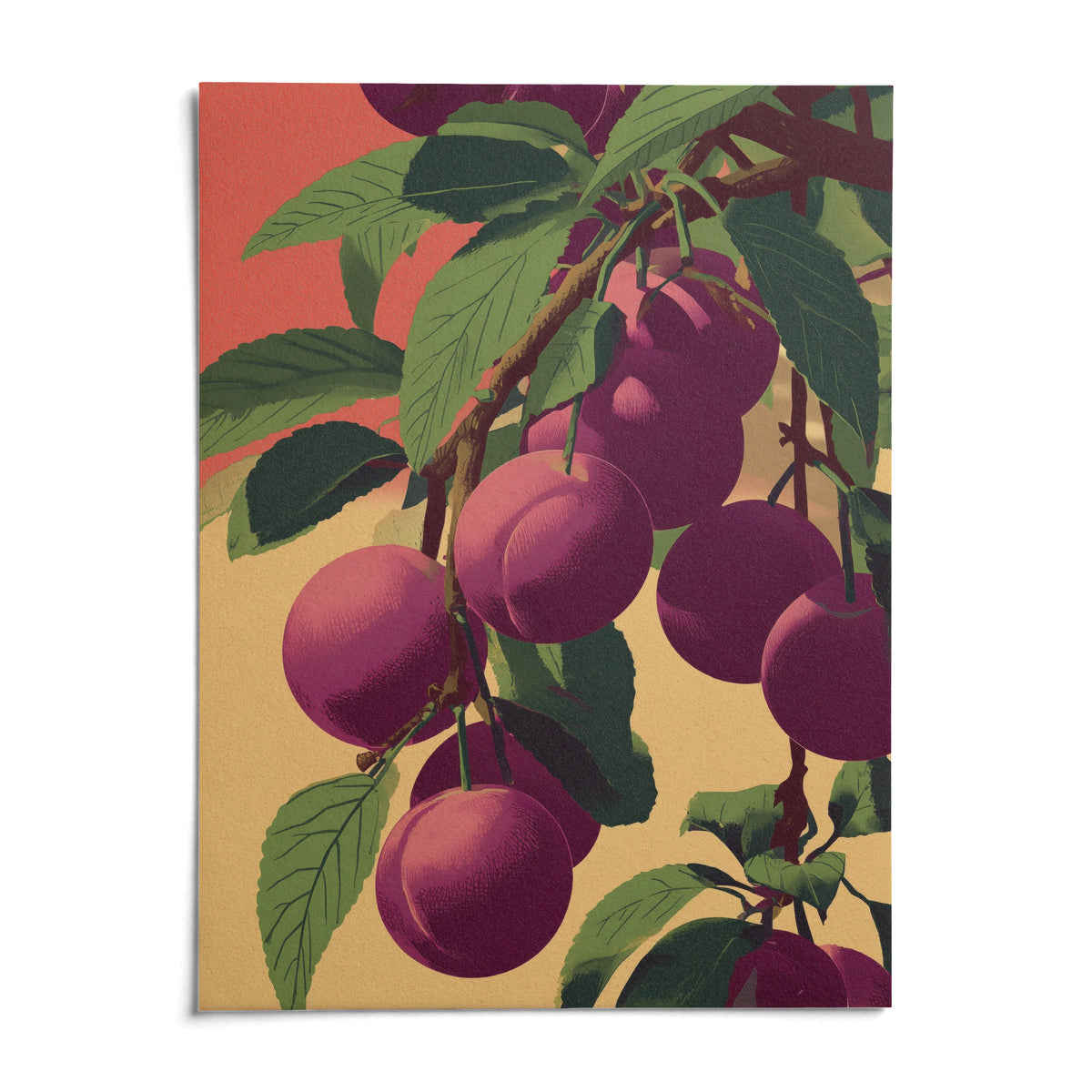 Plum Poster, shown as an unframed paper print on a plain white background