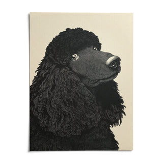 Poodle Art Print, shown as an unframed paper print on a plain white background