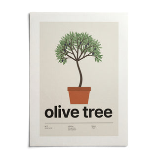Potted Olive Tree Print, shown as an unframed paper print on a plain white background