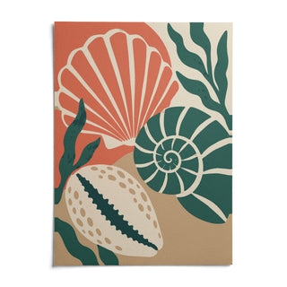 Seashell Wall Art, shown as an unframed paper print on a plain white background