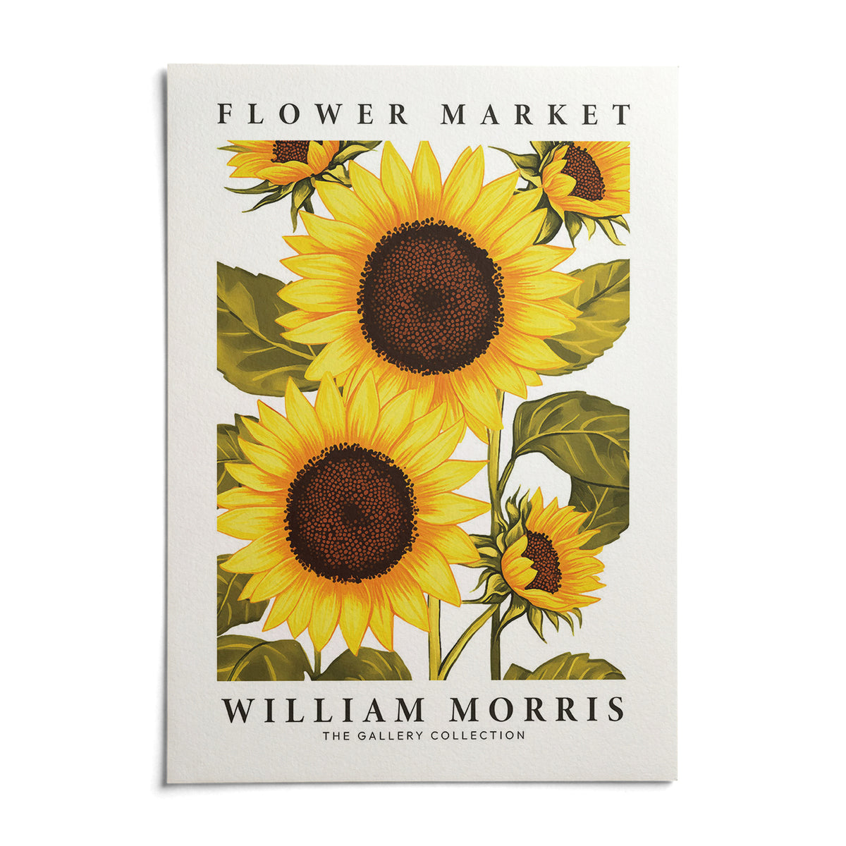 Sunflower Wall Art, shown as an unframed paper print on a plain white background